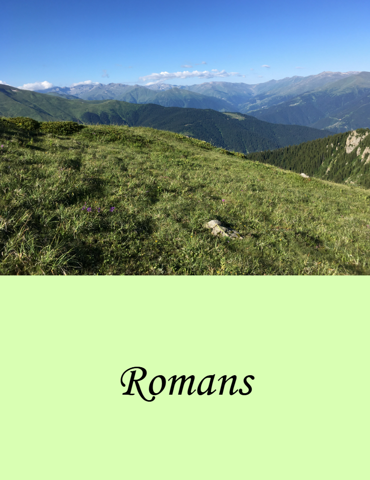 Romans commentary